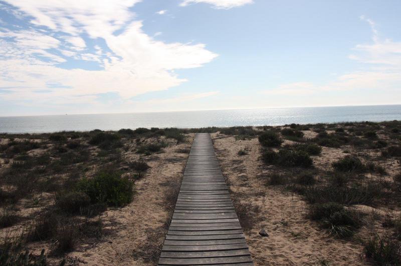 0 Bedroom Property for Sale in Laaiplek Western Cape